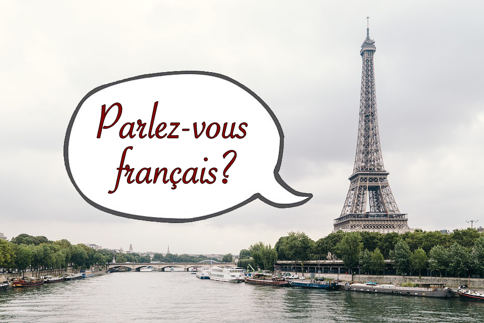 Learning French in Paris: The Best Schools and Programs for Your Language Goal